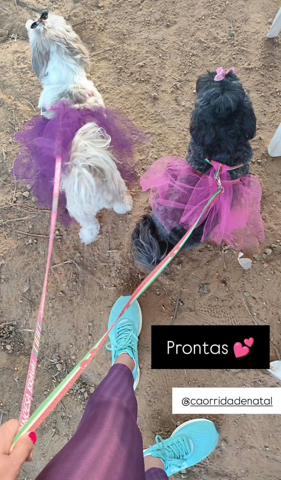 1ª Cãorrida de Natal