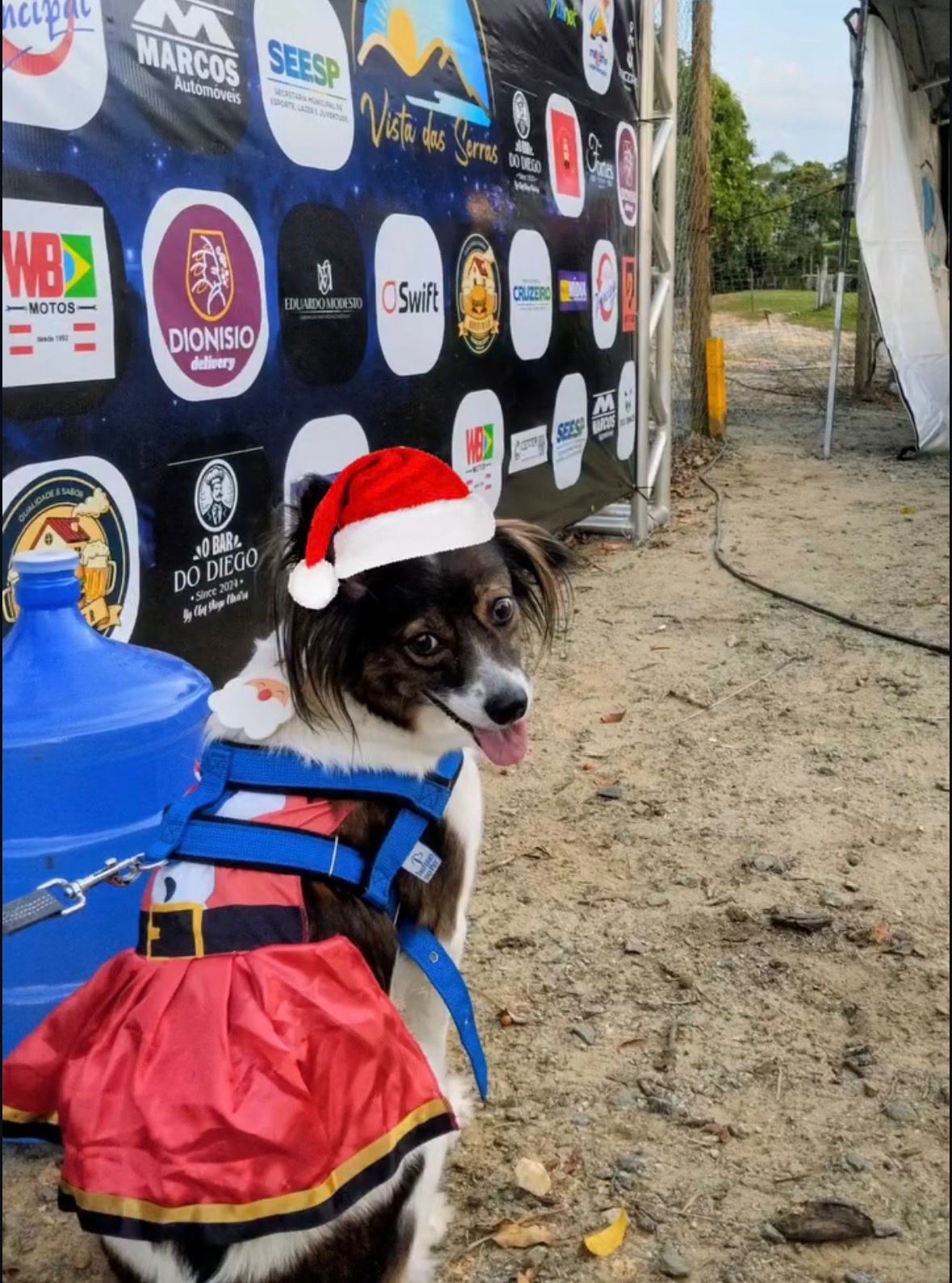 1ª Cãorrida de Natal