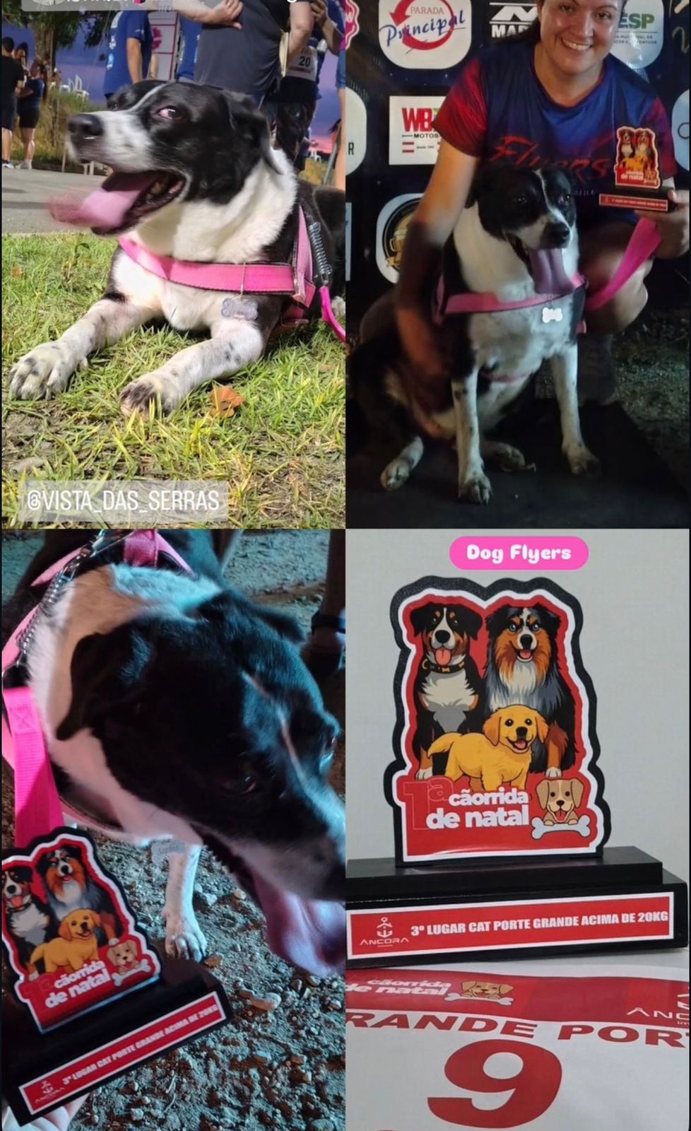 1ª Cãorrida de Natal