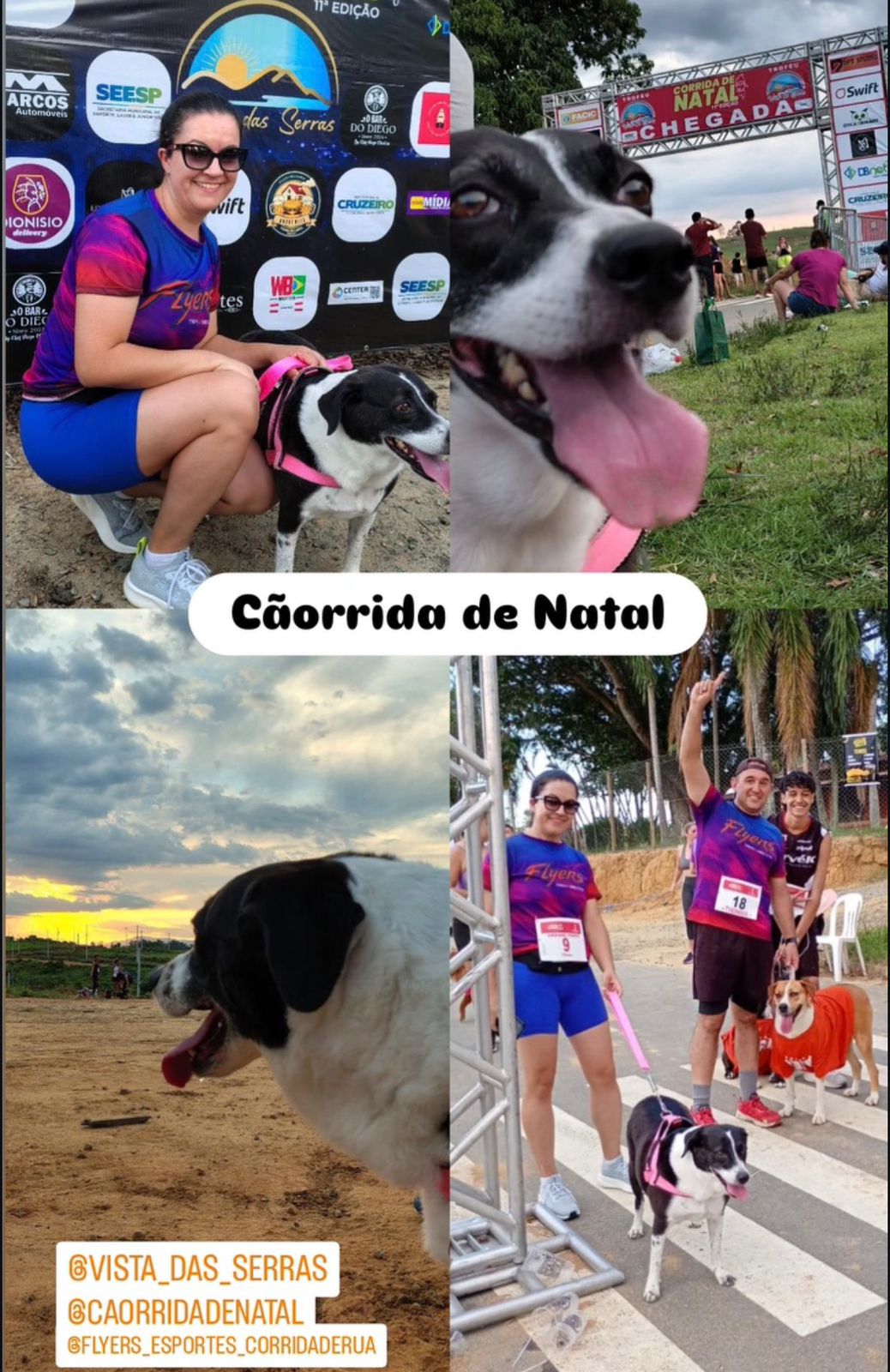 1ª Cãorrida de Natal